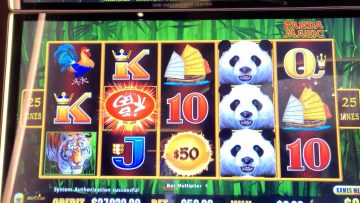 How slot game Book of Dead became so popular